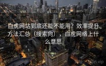 白虎网站到底还能不能用？效率提升方法汇总（搜索向），白虎网络上什么意思