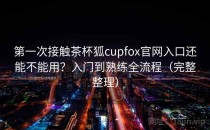 第一次接触茶杯狐cupfox官网入口还能不能用？入门到熟练全流程（完整整理）