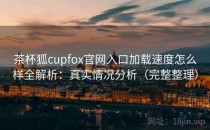 茶杯狐cupfox官网入口加载速度怎么样全解析：真实情况分析（完整整理）