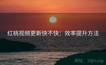 红桃视频更新快不快：效率提升方法