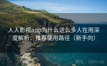 人人影视app为什么这么多人在用深度解析：推荐使用路径（新手向）