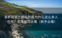 茶杯狐官方网站到底为什么这么多人在用？实用技巧合集（新手必看）