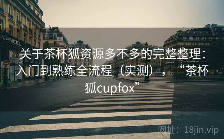 关于茶杯狐资源多不多的完整整理：入门到熟练全流程（实测），“茶杯狐cupfox”  第1张