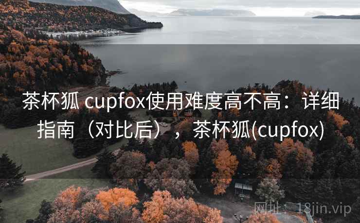 茶杯狐 cupfox使用难度高不高：详细指南（对比后），茶杯狐(cupfox)  第2张