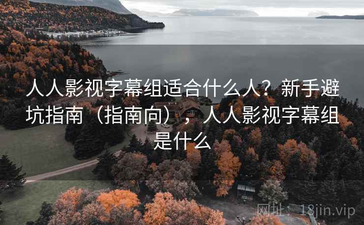人人影视字幕组适合什么人？新手避坑指南（指南向），人人影视字幕组是什么  第2张